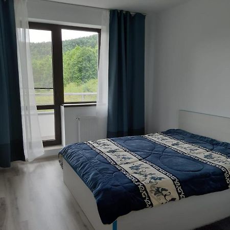 Appartement Dorin Colina Marei à Sinaia Extérieur photo