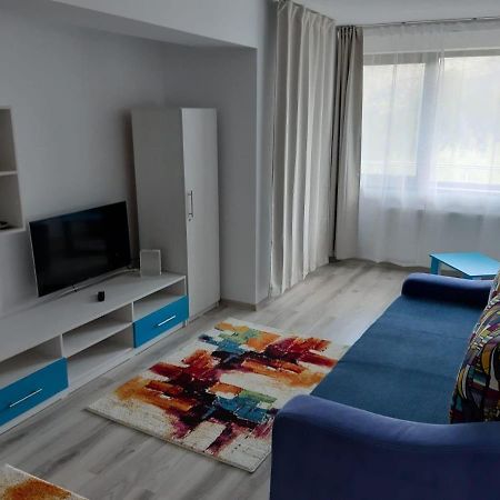 Appartement Dorin Colina Marei à Sinaia Extérieur photo