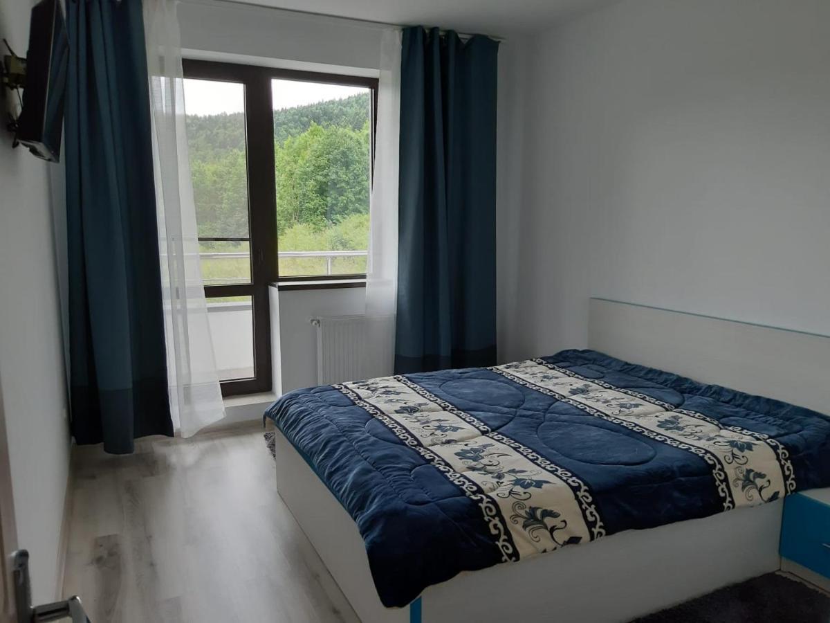 Appartement Dorin Colina Marei à Sinaia Extérieur photo