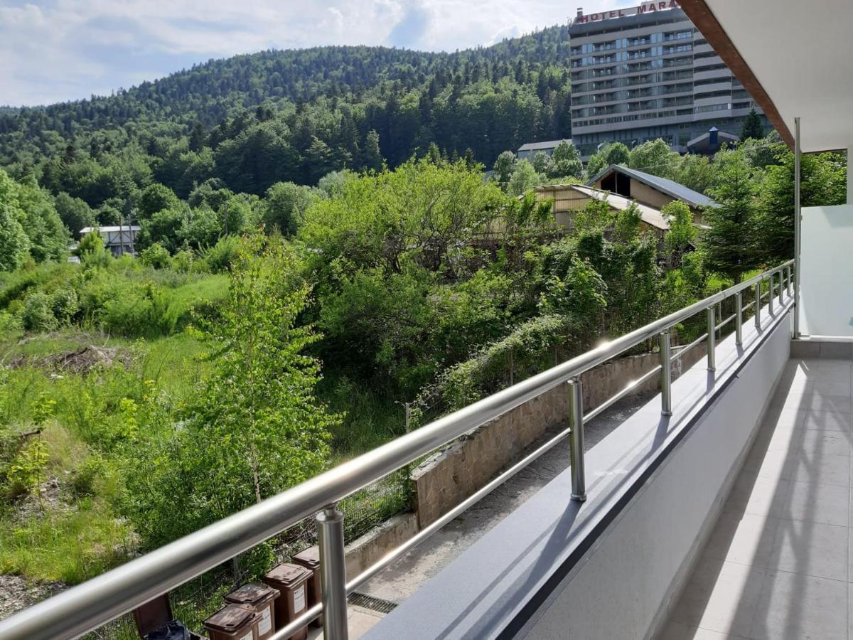 Appartement Dorin Colina Marei à Sinaia Extérieur photo