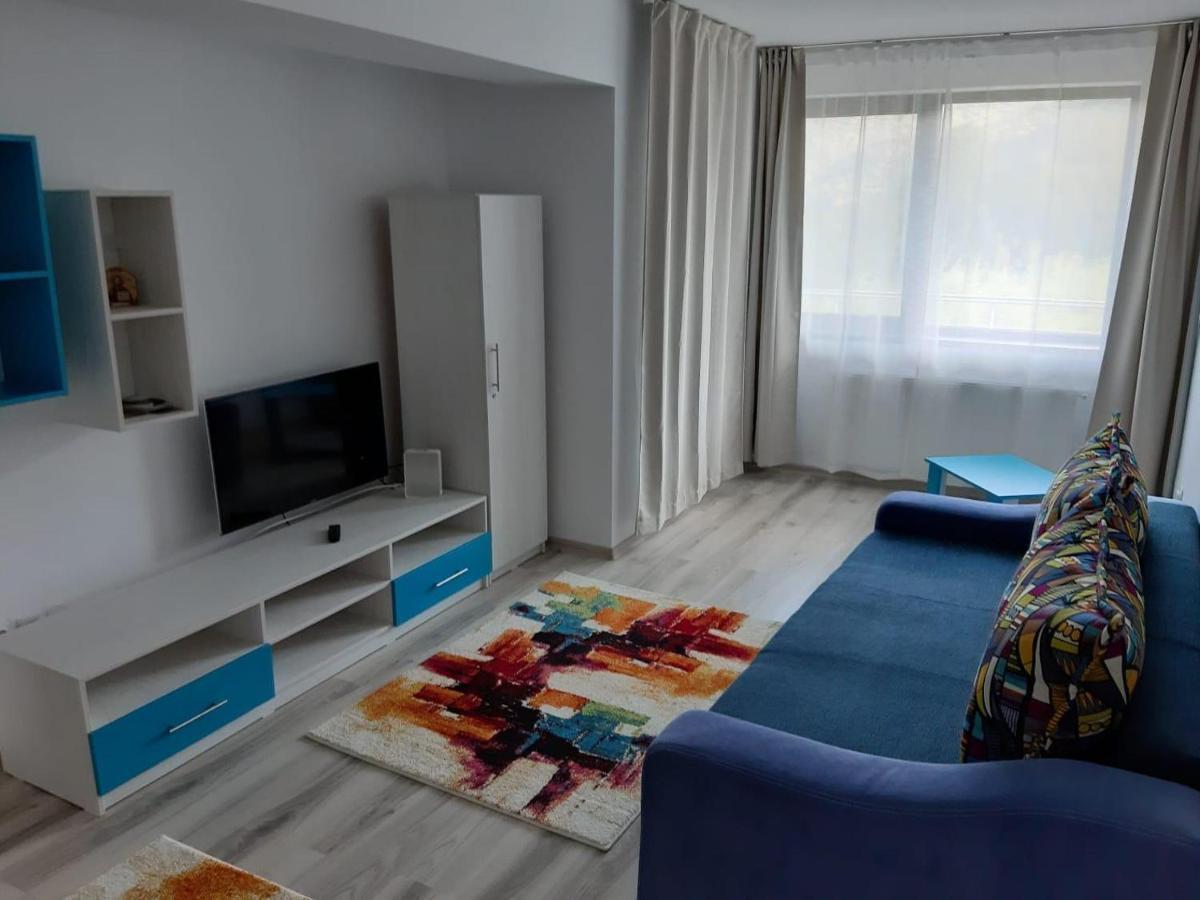 Appartement Dorin Colina Marei à Sinaia Extérieur photo